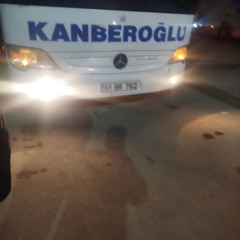 Motor Dumanı Ve Kokunun Yol Açtığı Sağlık Sorunları Ve Seyahat İptali