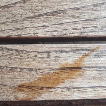 Temizlenmemiş Masalar Ve Sızıntılı Kahve Servisi