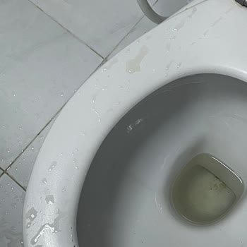 Şükür Turizm Hac Ve Umre'de Otellerin Hijyen Sorunu, Uzun Beklemeler Ve İletişim Eksikliği