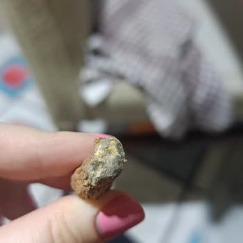 A101 Ve Şok Marketlerde Küflü Ürün Yaygınlığı Ve Denetim İhmali