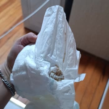 Molfix Bebek Bezinde Yabancı Madde Görülmesi Güveni Sarsıyor