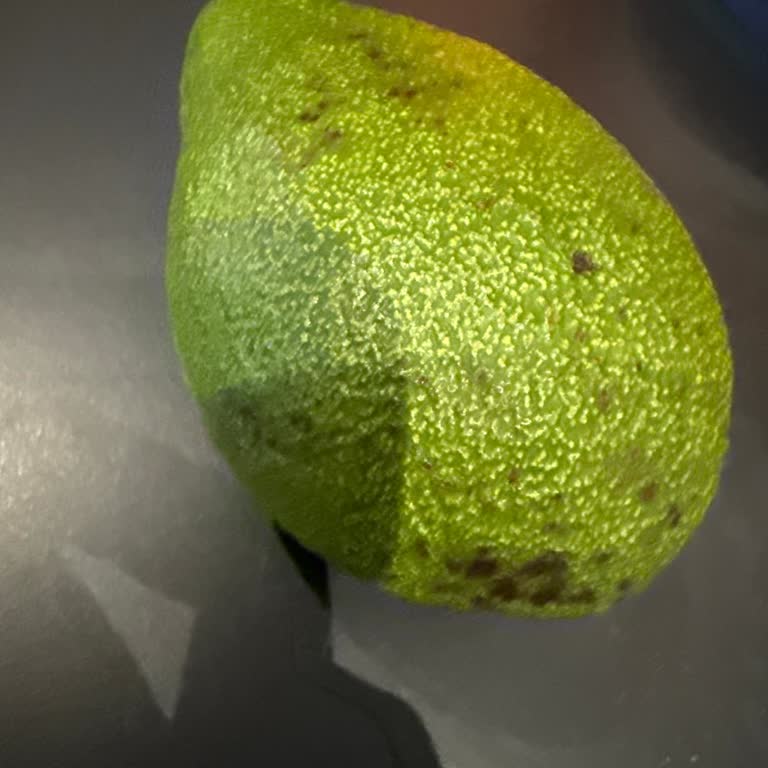 Oryapark Migros’ta Olgunlaşmayan Avokado, Bozuk Meyve Sebze Ve Kasa Sıralarında Uzun Bekleme