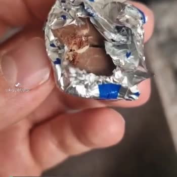 Ülker Ece Kurtlu Çıktı!
