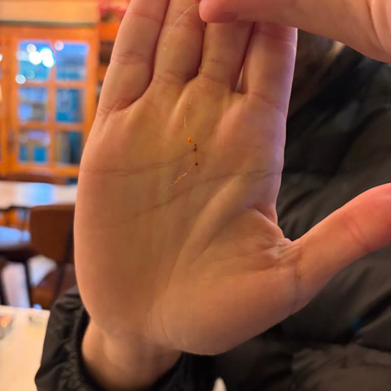 Şah Dürüm Denizli Kampüs Şubesinde Sipariş Alınmaması Ve Yemekte Uzun İplik Bulunması