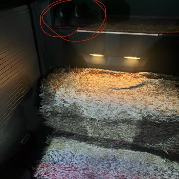 Yoğun Kötü Koku Ve Havalandırma Eksikliği Nedeniyle Sağlık Sorunları