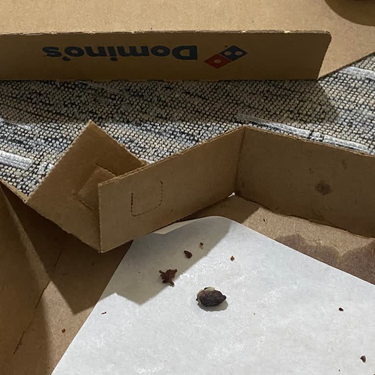 Pizza İçinde Zeytin Kabuğu Bulunması Hijyen İhlali