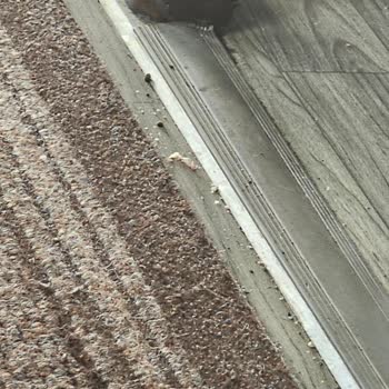 Güvenlik Ve Gecikme Sorunları Nedeniyle Tam İade Talebi