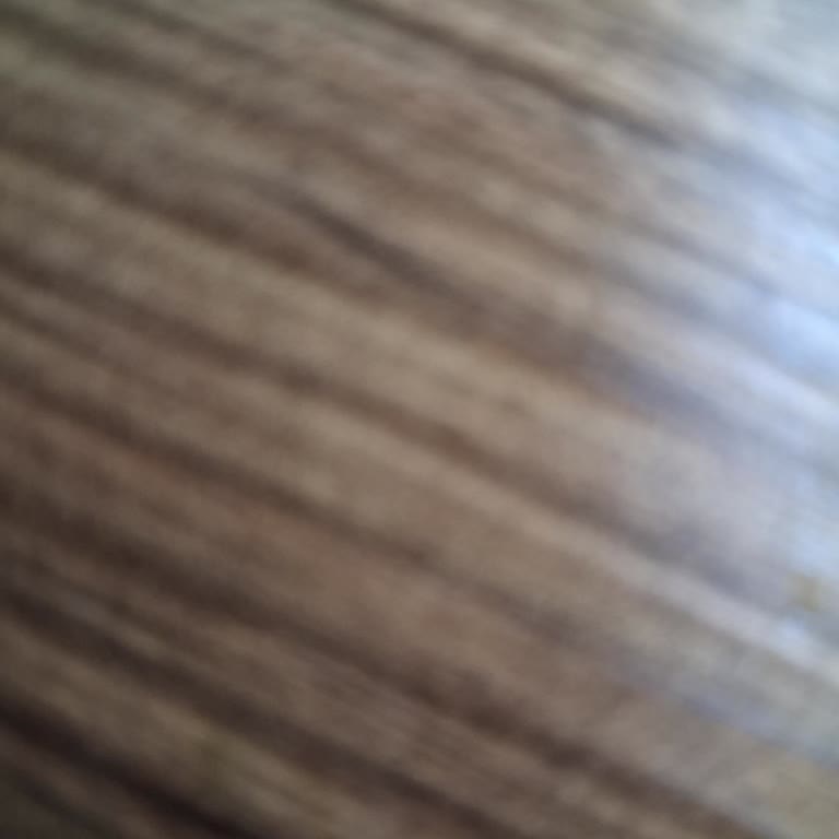 Biletsiz Yolcu Ve Yanlış Durağa İniş Nedeniyle Yaşanan Üslup Ve Hizmet Sorunları