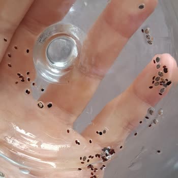 Çiya Tohumunda Kum Ve Taş Parçaları Bulunması Sağlık Riski