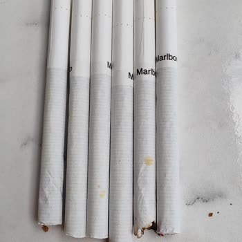 Marlboro Touch Blue Paketi İçindeki Böcek Lekeleri Sağlık Riski