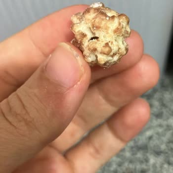 Değirmenci Kuruyemiş Leblebide Böcek Olması