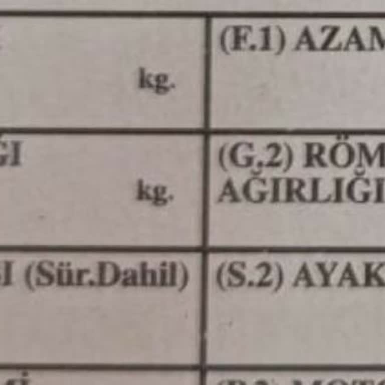 Ruhsat Ağırlık Bilgileri Hatalı, Yük Kapasitesi Neredeyse Kullanılamaz