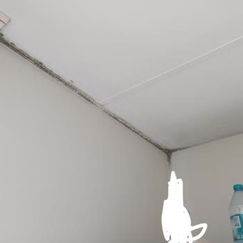 Karmod Prefabrik Yapı Sistemleri Ciddi Montaj Hataları Olduğunu Fark Ettim