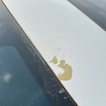 İkinci El Seat Ateca’da Tavan Boya Çözülmesi Ve Kaplama Sorunu