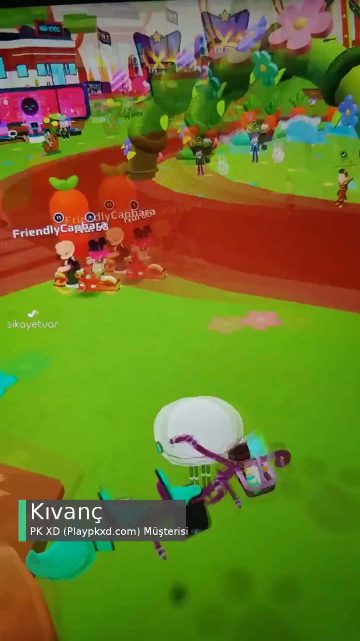 PK Xd (Playpkxd.com) Düzensiz Olmuş videonun kapak resmi