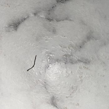 Yörük Ana Çiftliği'nden Metal Parçalı Fıstık Ezmesi: Güven Sorunu