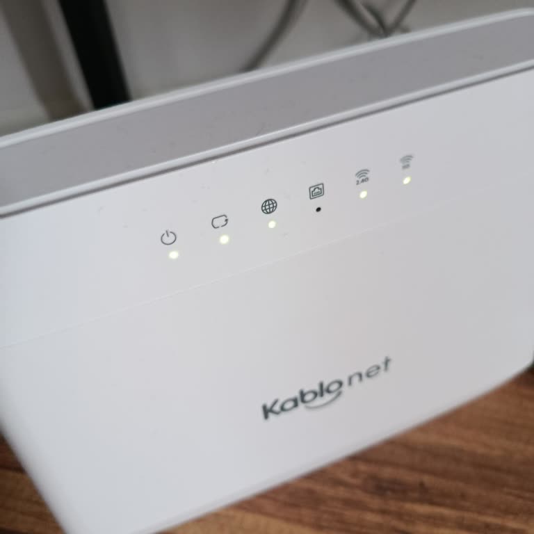 İnternet Kesintisi Ve Yavaşlığı İçin Acil Teknik Destek Talebi