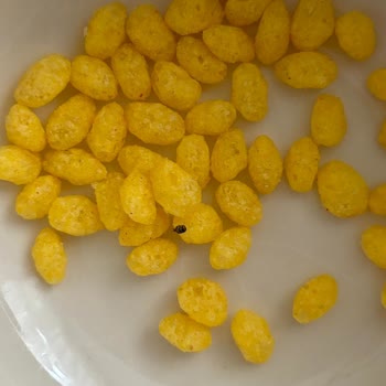 Eskişehir'deki Markette Mini Cheetos Shot Ürününde Böcek Görüldü