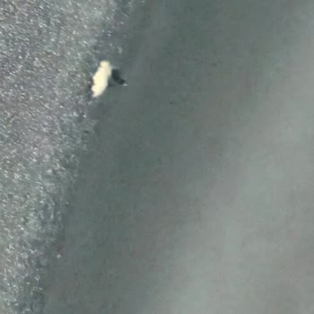 Tefal Ingenio Tencere Setinde 6 Ayda Soyulma Ve Çizilme, Garanti İstiyorum