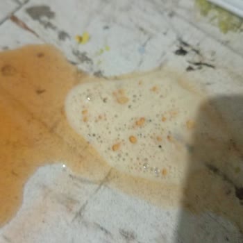 Comida húmeda de Whiskas causa problemas a mis gatos, exijo compensación