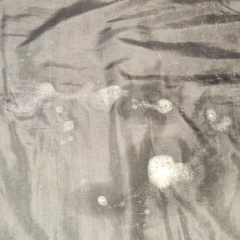 Comida húmeda de Whiskas causa problemas a mis gatos, exijo compensación