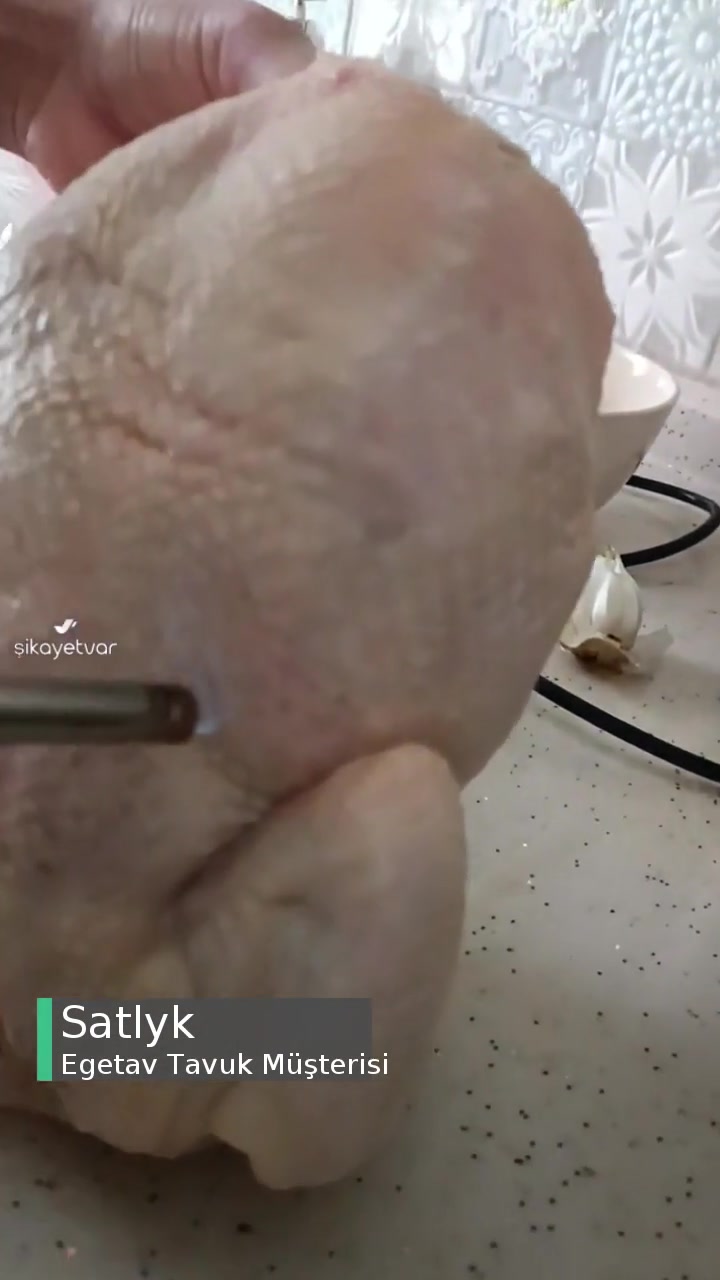 Egetav Tavuk Tüyleri Temizlenmemiş videonun kapak resmi