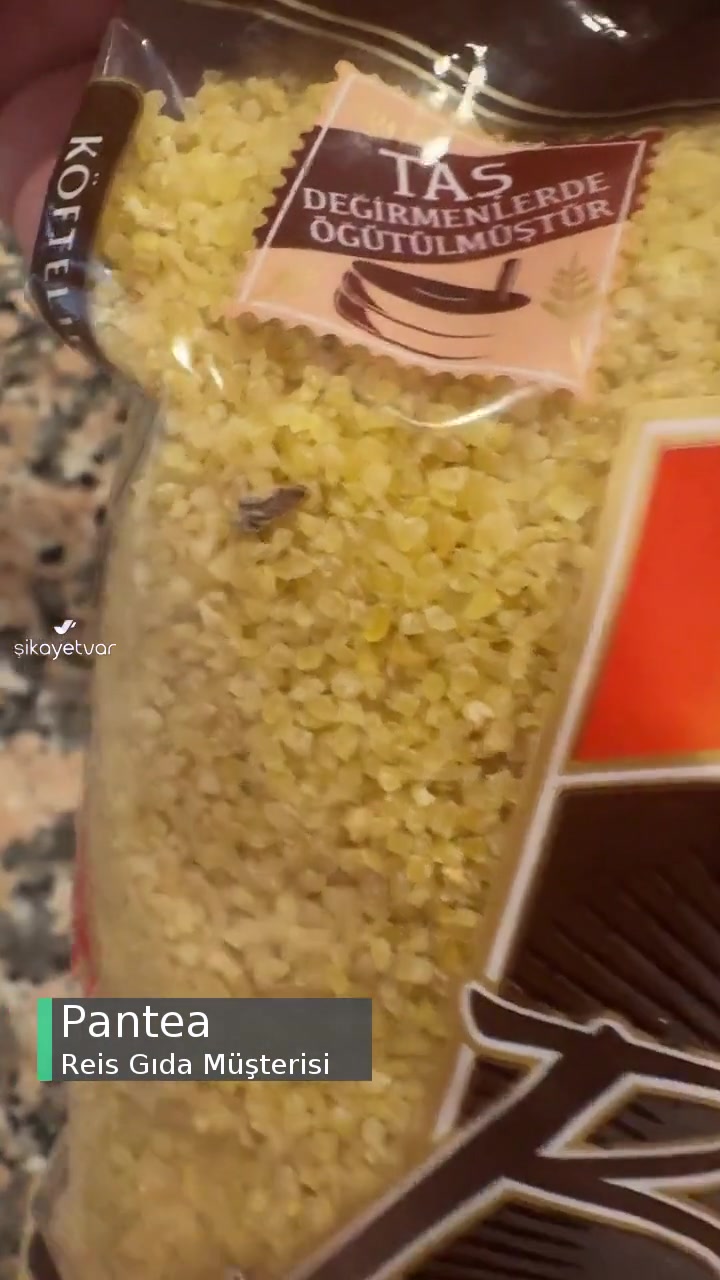 Reis Üründe Yabancı Madde Tespiti videonun kapak resmi