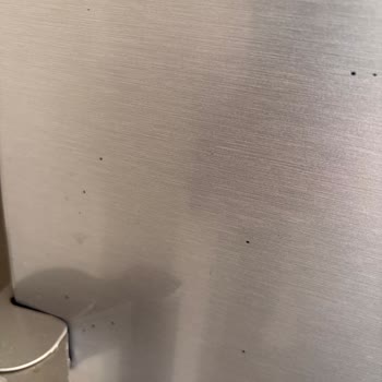 Samsung Gri Buzdolabının Delik Ve Siyah Nokta Problemi