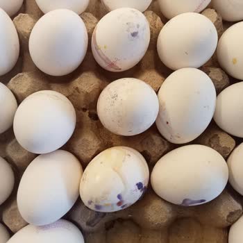 Migros Hemen'den Bozuk Yumurta Ve Cevapsız Müşteri Hizmeti