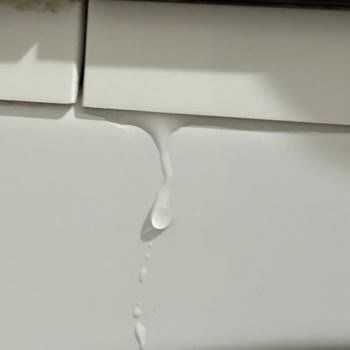 Sürekli Su Sızdırması Nedeniyle Vestel Çamaşır Makinesinin Ücretsiz Onarım Ve İade Talebi