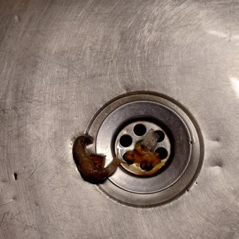 Migros’ta Satın Aldığım Ispanakta Canlı Sümüklü Böcek