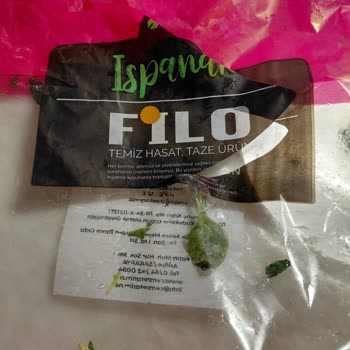 Migros’ta Satın Aldığım Ispanakta Canlı Sümüklü Böcek