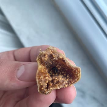 Çerezya Markalı Kuru İncirde Kurtlu Hijyen Sorunu