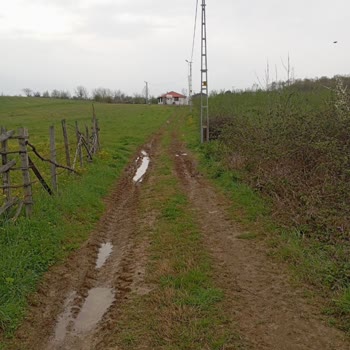 Kırkarmut Mahallesi Kadastro Yolu Çamurda Kalıyor Ve Ulaşım Aksıyor