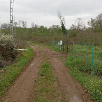 Kırkarmut Mahallesi Kadastro Yolu Çamurda Kalıyor Ve Ulaşım Aksıyor