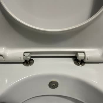 Creavit Mare Klozet Kapağının Menteşe Parçası Çıkıyor Ve Kayıp Oluyor