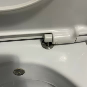 Creavit Mare Klozet Kapağının Menteşe Parçası Çıkıyor Ve Kayıp Oluyor