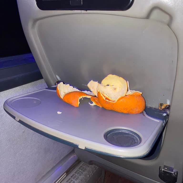 Metro Turizm'de 2 Saat Gecikme Ve Hijyen Eksikliği Tazmin Talebi