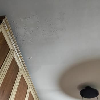 Milli Emlak Müdürlüğü Ait Evin Hasarı