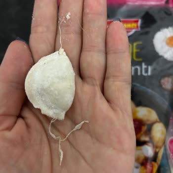 Mantı İçinde Kalın İp Bulunması Güvenliğimi Tehdit Ediyor