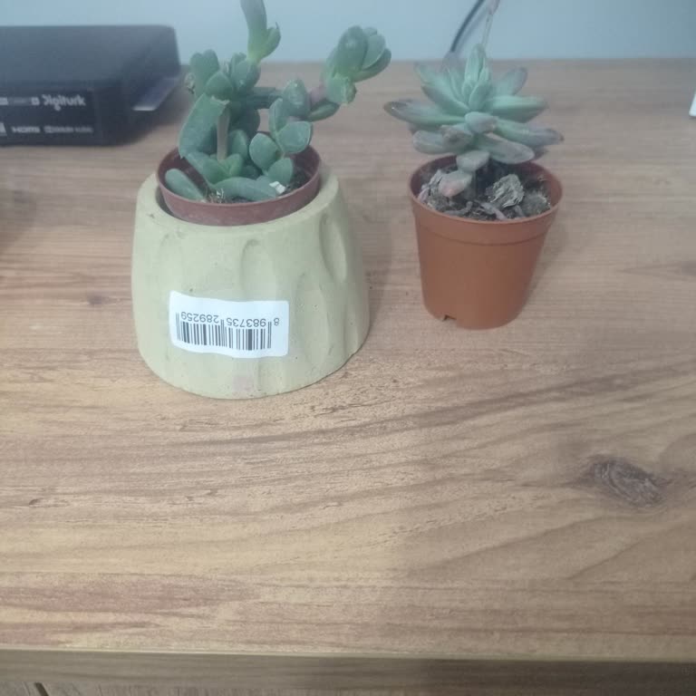 A101 Doğanbey Şubesindeki Personelin Saygısız Davranışı