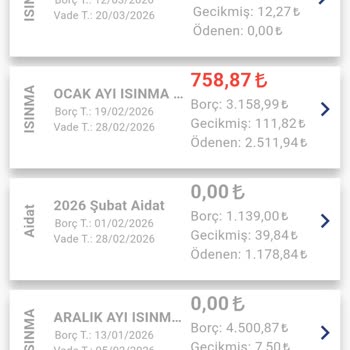 Online Ödeme Sistemi Sorunu Nedeniyle Borç Görünmemesi Ve Haksız Faiz Talebi