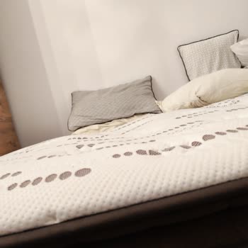 Bambi Pocket Yay Yatağının Kısa Sürede Çökmesi Ve Bel Ağrısı