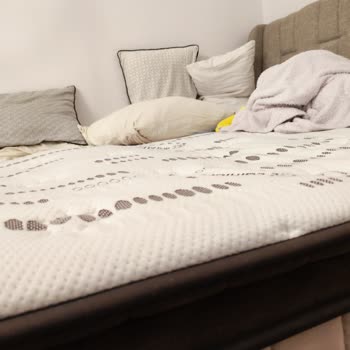 Bambi Pocket Yay Yatağının Kısa Sürede Çökmesi Ve Bel Ağrısı