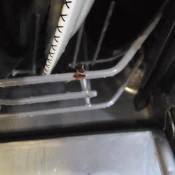 Franke Bulaşık Makinesinde Paslanan Sepetler Güvenlik Ve Sağlık Tehdidi