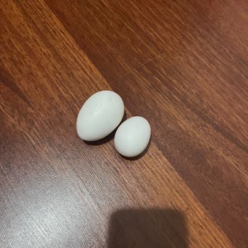 XL Boy Yumurta Paketi Yanıltıcı: İçerik Küçük Yumurta