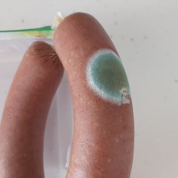 Torku Sucukta Son Kullanma Tarihi Doğru Olmasına Rağmen Küflü Çıktı