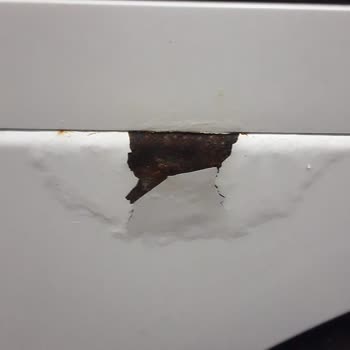 Bosch Çamaşır Makinesinin Ön Yüzeyindeki Boya Kabarması Ücretsiz Değişim Talebi