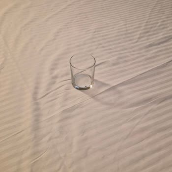 Ramada Encore Otelinde Tahta Kuruşu Nedeniyle Hijyen İhlali Ve Ücret İadesi Talebi