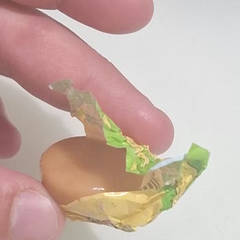 Kent Bonbon Şekerinde İnsan Kılı Bulunması Hijyen İhlali